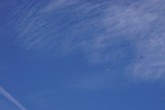 DSC05285