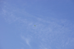 DSC05286