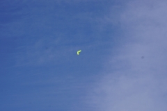 DSC05290