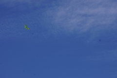 DSC05293